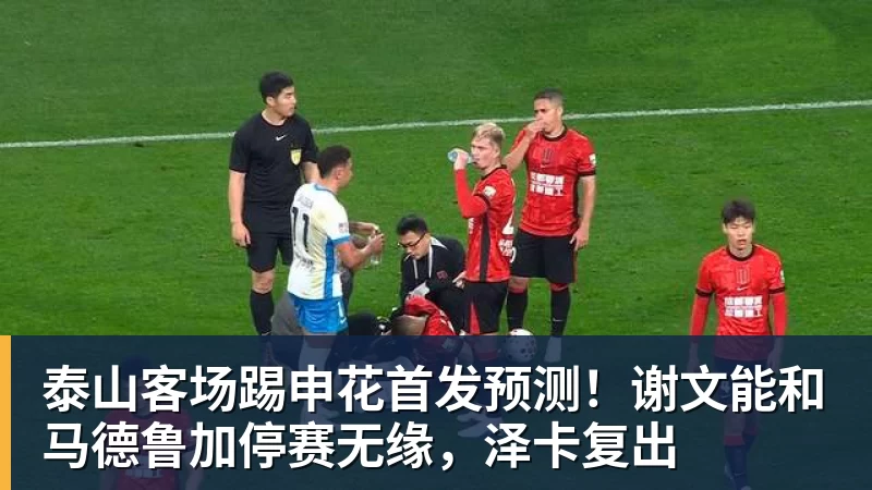 乐鱼泰山客场踢申花首发预测!谢文能和马德鲁加停赛无缘,泽卡复出