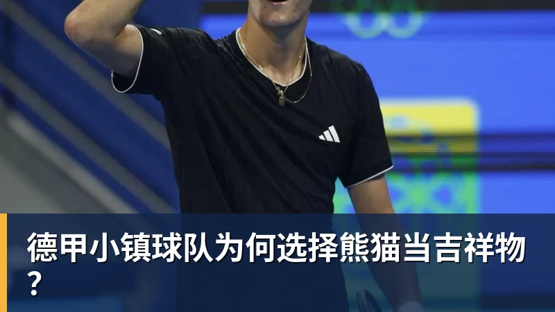 德甲小镇球队为何选择熊猫当吉祥物？