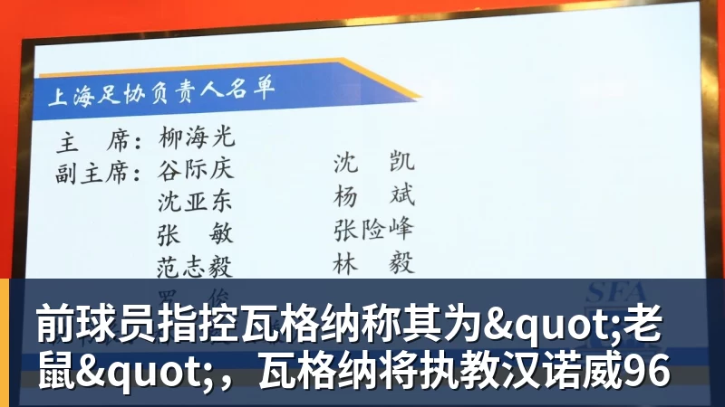 前球员指控瓦格纳称其为"老鼠",瓦格纳将执教汉诺威96